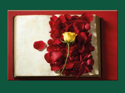 Foto: Colourbox.dk